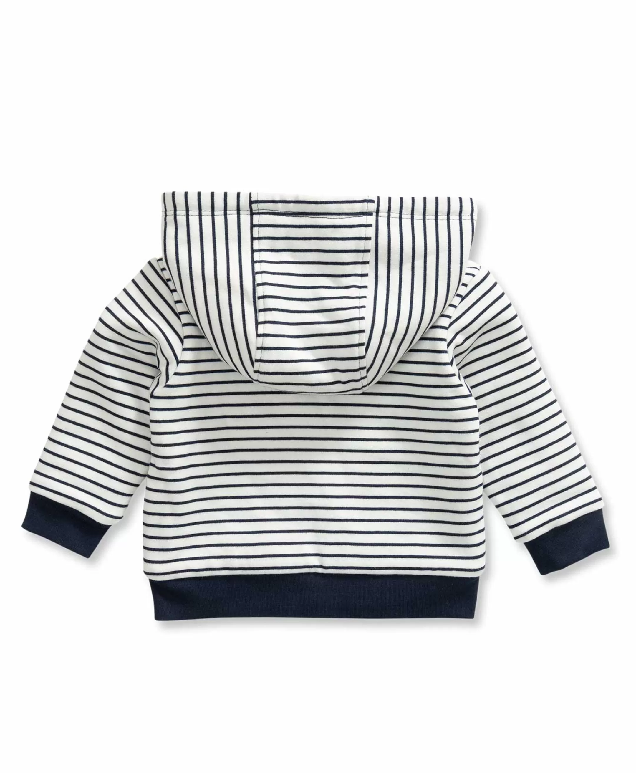 Terre de Marins VESTE ML FOND NATUREL RAYE INDIGO VOLT Shop